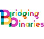 Bridging Binaries logo